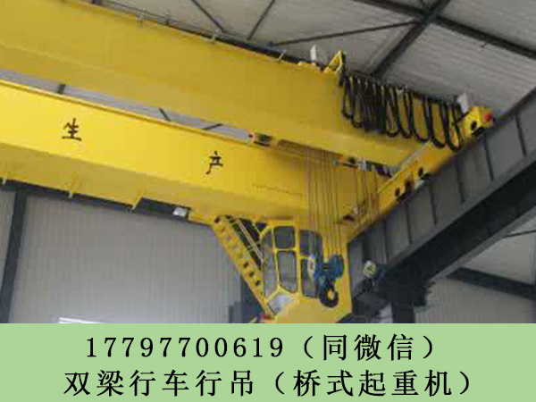 山东滨州桥式航吊生产厂家5t悬挂单梁行吊